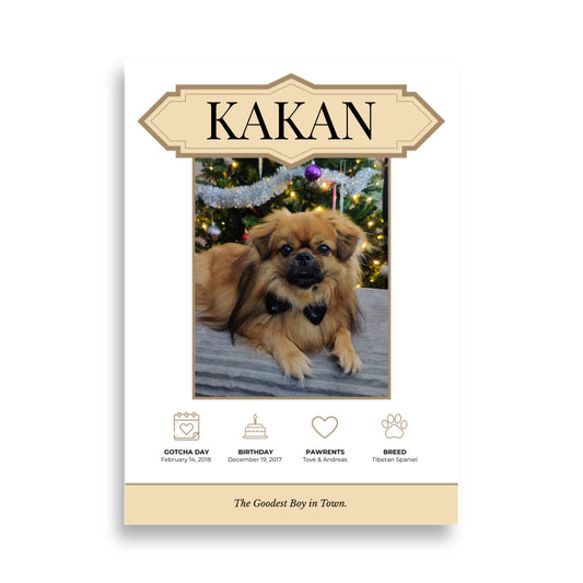 Custom Pet Poster