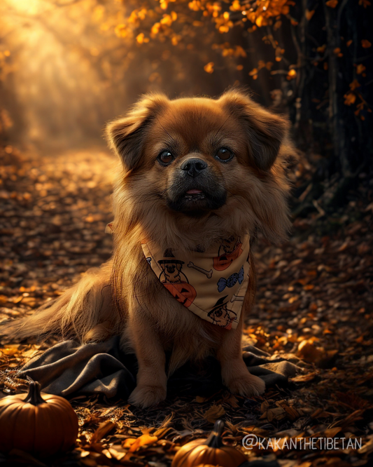 Halloween Bandana Limited Edition